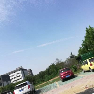 猫咪株式会社游戏下载